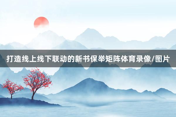 打造线上线下联动的新书保举矩阵体育录像/图片