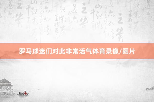 罗马球迷们对此非常活气体育录像/图片