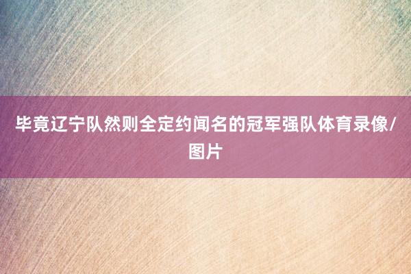毕竟辽宁队然则全定约闻名的冠军强队体育录像/图片