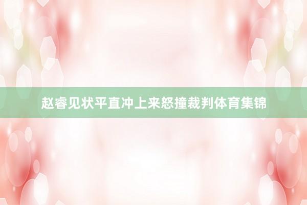 赵睿见状平直冲上来怒撞裁判体育集锦