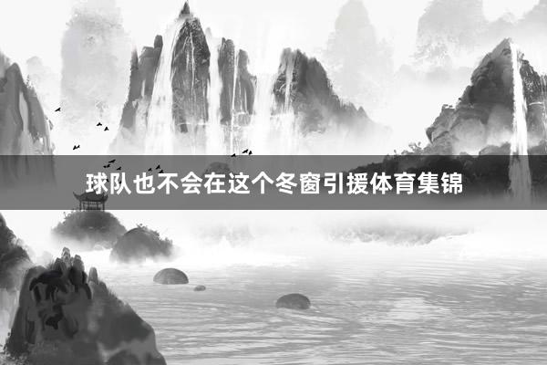 球队也不会在这个冬窗引援体育集锦