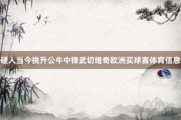 硬人当今挑升公牛中锋武切维奇欧洲买球赛体育信息