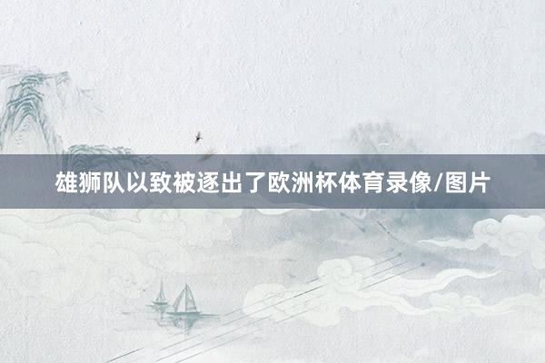 雄狮队以致被逐出了欧洲杯体育录像/图片