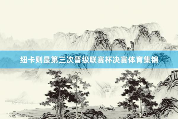 纽卡则是第三次晋级联赛杯决赛体育集锦