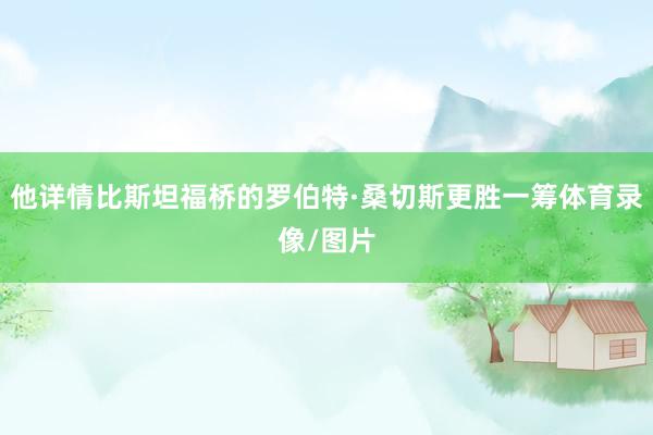 他详情比斯坦福桥的罗伯特·桑切斯更胜一筹体育录像/图片