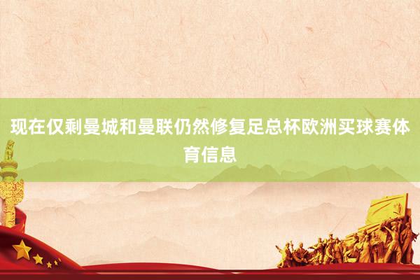 现在仅剩曼城和曼联仍然修复足总杯欧洲买球赛体育信息