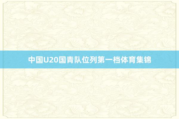 中国U20国青队位列第一档体育集锦