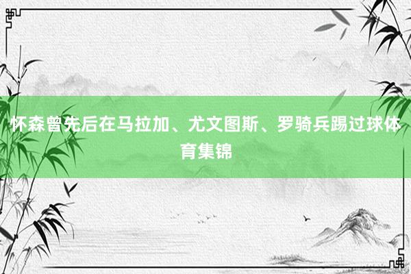 怀森曾先后在马拉加、尤文图斯、罗骑兵踢过球体育集锦