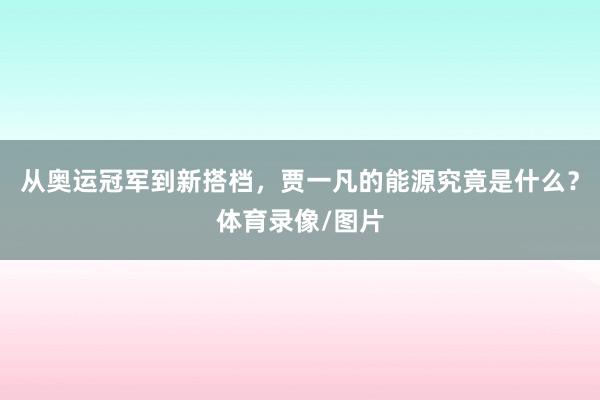 从奥运冠军到新搭档，贾一凡的能源究竟是什么？体育录像/图片