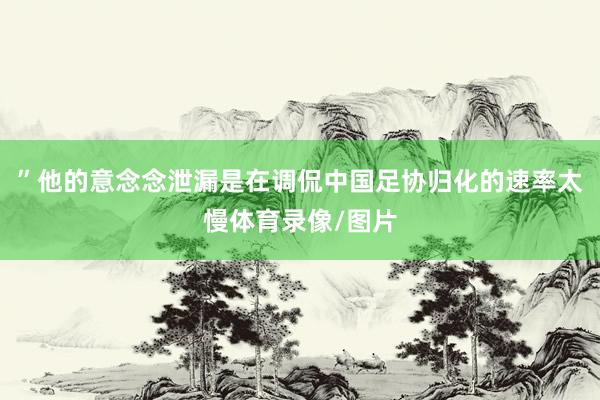 ”他的意念念泄漏是在调侃中国足协归化的速率太慢体育录像/图片