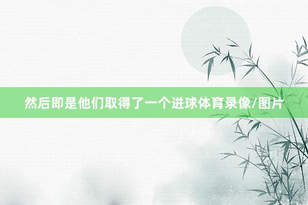 然后即是他们取得了一个进球体育录像/图片