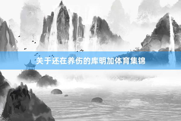 关于还在养伤的库明加体育集锦