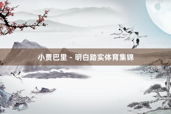 小贾巴里 - 明白踏实体育集锦