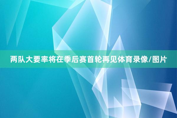 两队大要率将在季后赛首轮再见体育录像/图片