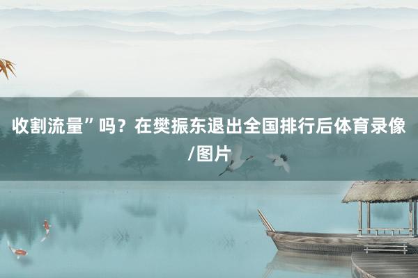 收割流量”吗？在樊振东退出全国排行后体育录像/图片