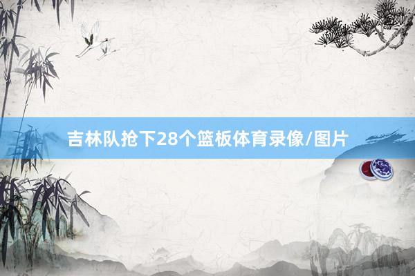 吉林队抢下28个篮板体育录像/图片