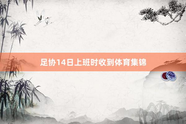 足协14日上班时收到体育集锦