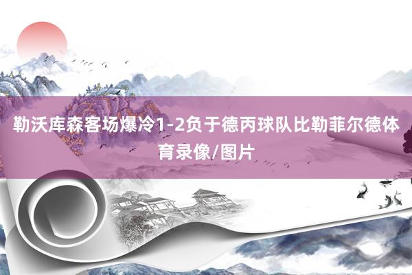 勒沃库森客场爆冷1-2负于德丙球队比勒菲尔德体育录像/图片