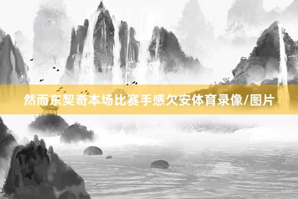 然而东契奇本场比赛手感欠安体育录像/图片
