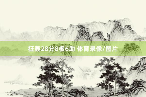 狂轰28分8板6助 体育录像/图片