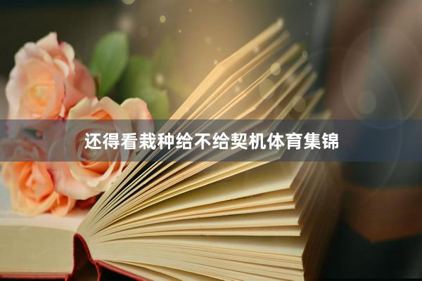 还得看栽种给不给契机体育集锦