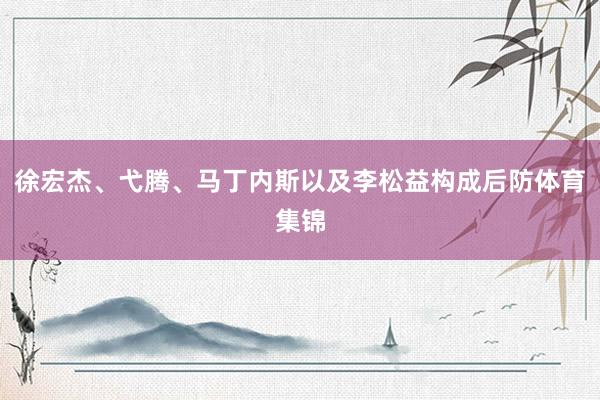 徐宏杰、弋腾、马丁内斯以及李松益构成后防体育集锦