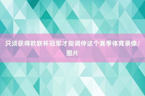 只须获得欧联杯冠军才能调停这个赛季体育录像/图片