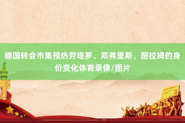 德国转会市集预热劳塔罗、邓弗里斯、图拉姆的身价变化体育录像/图片
