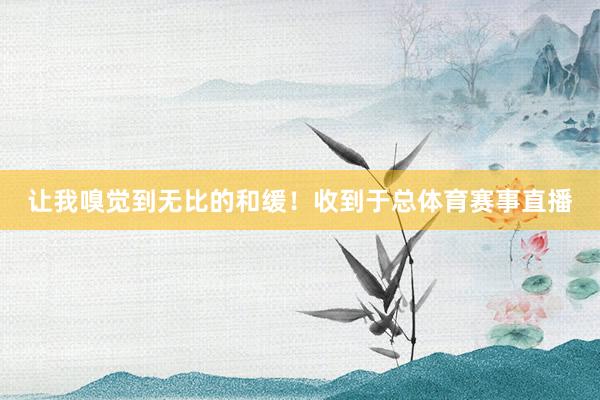 让我嗅觉到无比的和缓！收到于总体育赛事直播