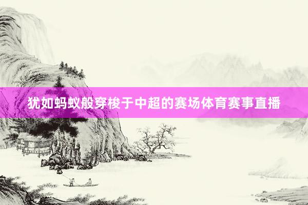 犹如蚂蚁般穿梭于中超的赛场体育赛事直播
