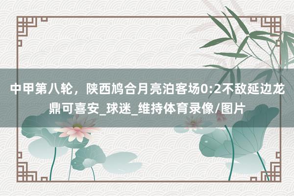 中甲第八轮，陕西鸠合月亮泊客场0:2不敌延边龙鼎可喜安_球迷_维持体育录像/图片