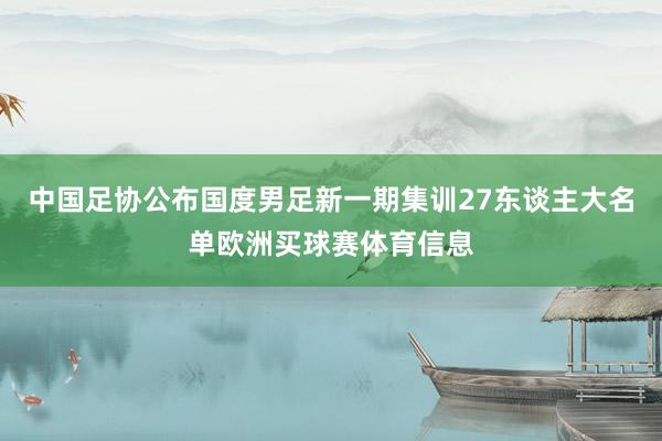 中国足协公布国度男足新一期集训27东谈主大名单欧洲买球赛体育信息