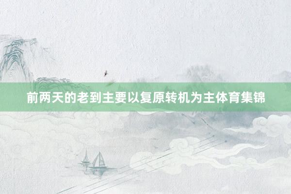 前两天的老到主要以复原转机为主体育集锦