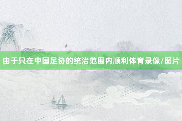 由于只在中国足协的统治范围内顺利体育录像/图片