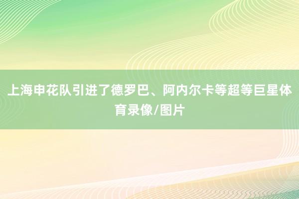 上海申花队引进了德罗巴、阿内尔卡等超等巨星体育录像/图片