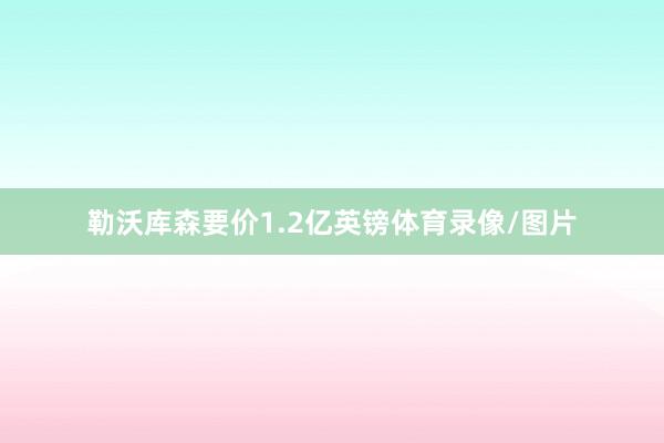 勒沃库森要价1.2亿英镑体育录像/图片