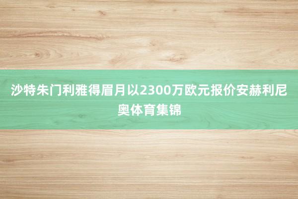 沙特朱门利雅得眉月以2300万欧元报价安赫利尼奥体育集锦