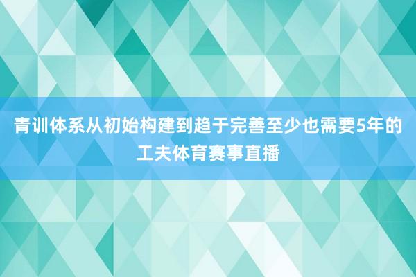 青训体系从初始构建到趋于完善至少也需要5年的工夫体育赛事直播