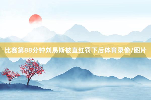 比赛第88分钟刘易斯被直红罚下后体育录像/图片