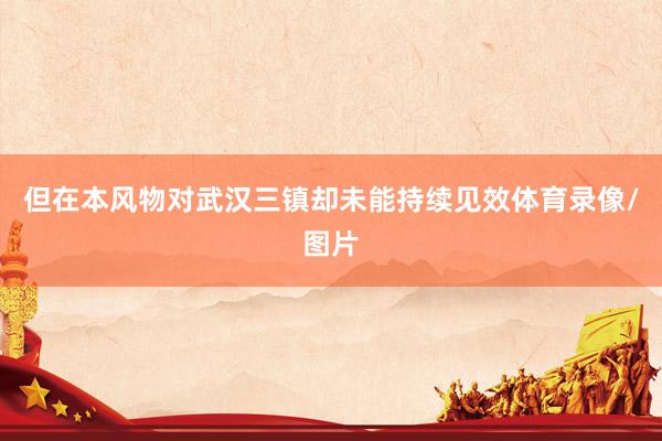 但在本风物对武汉三镇却未能持续见效体育录像/图片