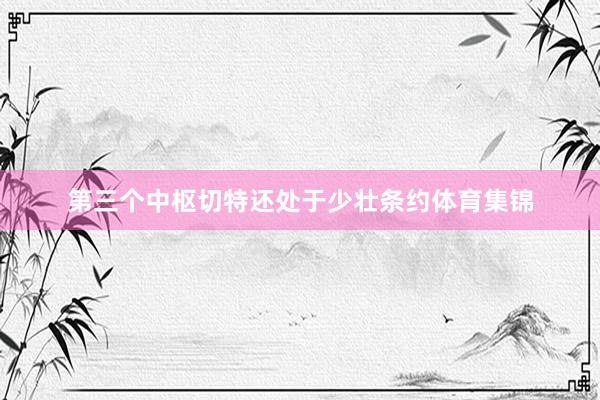 第三个中枢切特还处于少壮条约体育集锦