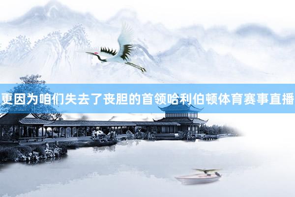更因为咱们失去了丧胆的首领哈利伯顿体育赛事直播