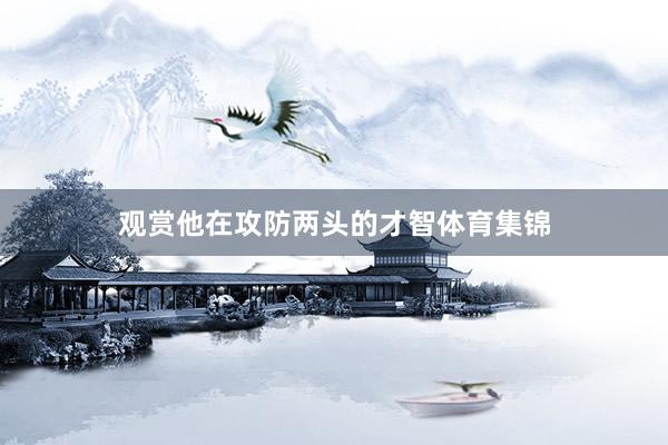 观赏他在攻防两头的才智体育集锦