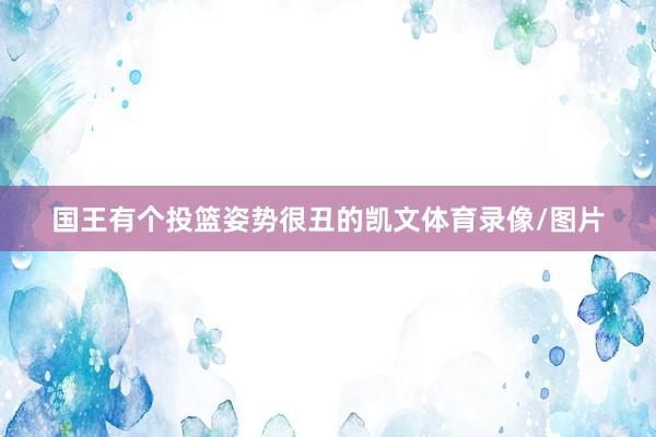 国王有个投篮姿势很丑的凯文体育录像/图片
