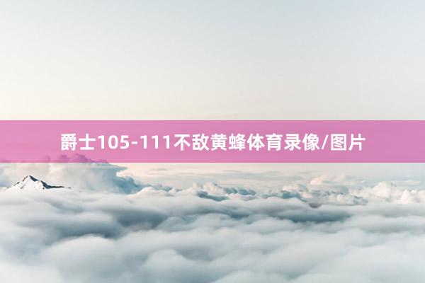 爵士105-111不敌黄蜂体育录像/图片