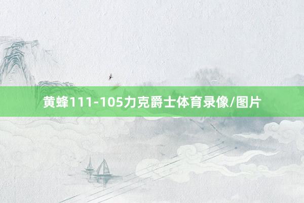 黄蜂111-105力克爵士体育录像/图片