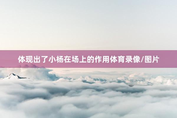 体现出了小杨在场上的作用体育录像/图片