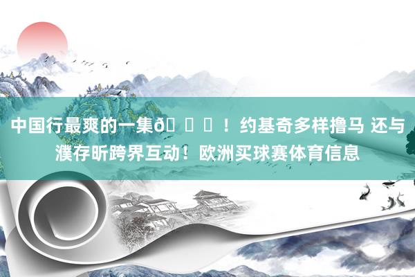 中国行最爽的一集😝！约基奇多样撸马 还与濮存昕跨界互动！欧洲买球赛体育信息