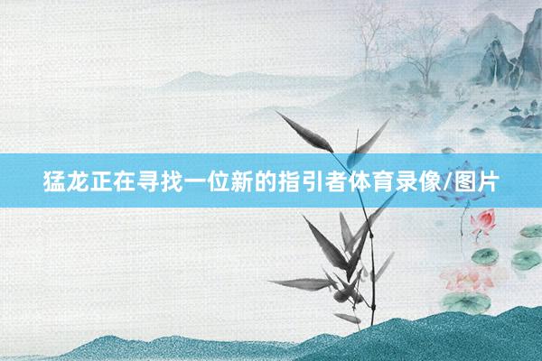 猛龙正在寻找一位新的指引者体育录像/图片