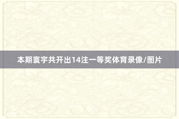本期寰宇共开出14注一等奖体育录像/图片